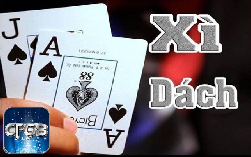 ảnh đại diện luật chơi xì dách